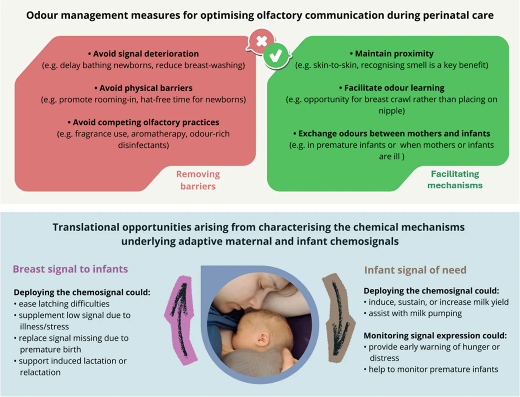 Diagram from paper published by the WOLF project discussing ways to optimise olfactory communication during perinatal care.