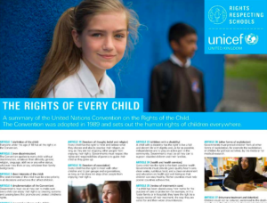 Summary of the Convention poster