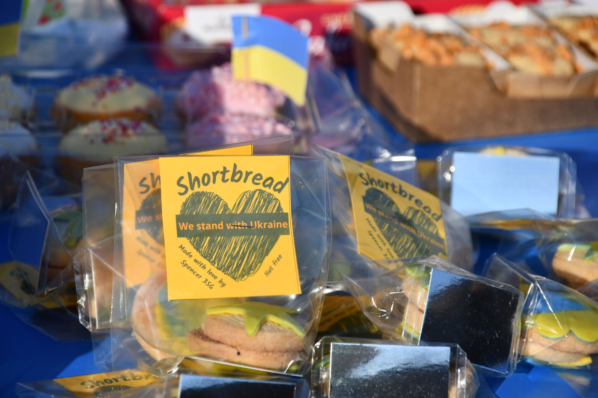 Avon House Rights Respecting Schools Award