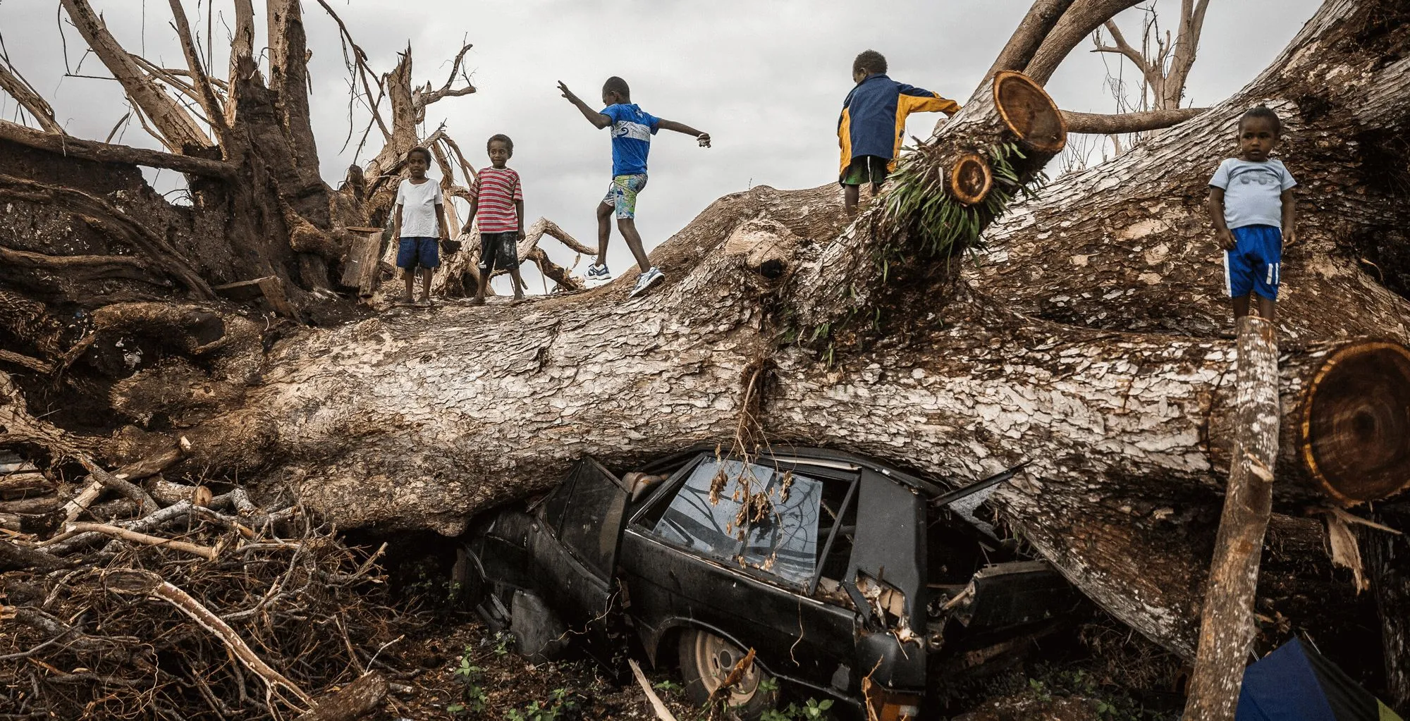 On 29 March 2015, children play on a fallen tree that came down during Cyclone Pam on 13 Marchs 2015 and has crushed a car on the outskirts of Port Vila in Vanuatu. Unicef/2015/Sokhin