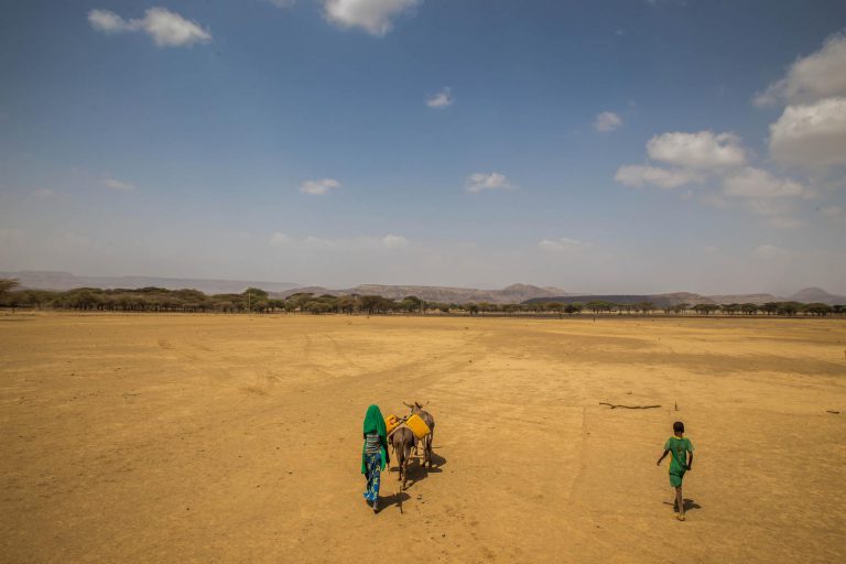 In central Ethiopia, Harko, 12, accompanied by her brother, walks home across an arid stretch of land behind two donkeys carrying jerrycans filled with water, in Haro Huba Kebele in Fantale Woreda, in East Shoa Zone, Oromia Region. Harko, who must search for water almost every day, no longer attends school. She travels at night to avoid the heat and does not get home until well into the afternoon on the following day. She says that the journey can be scary because they must watch out for hyenas. © UNICEF/UN011588/Ayene
