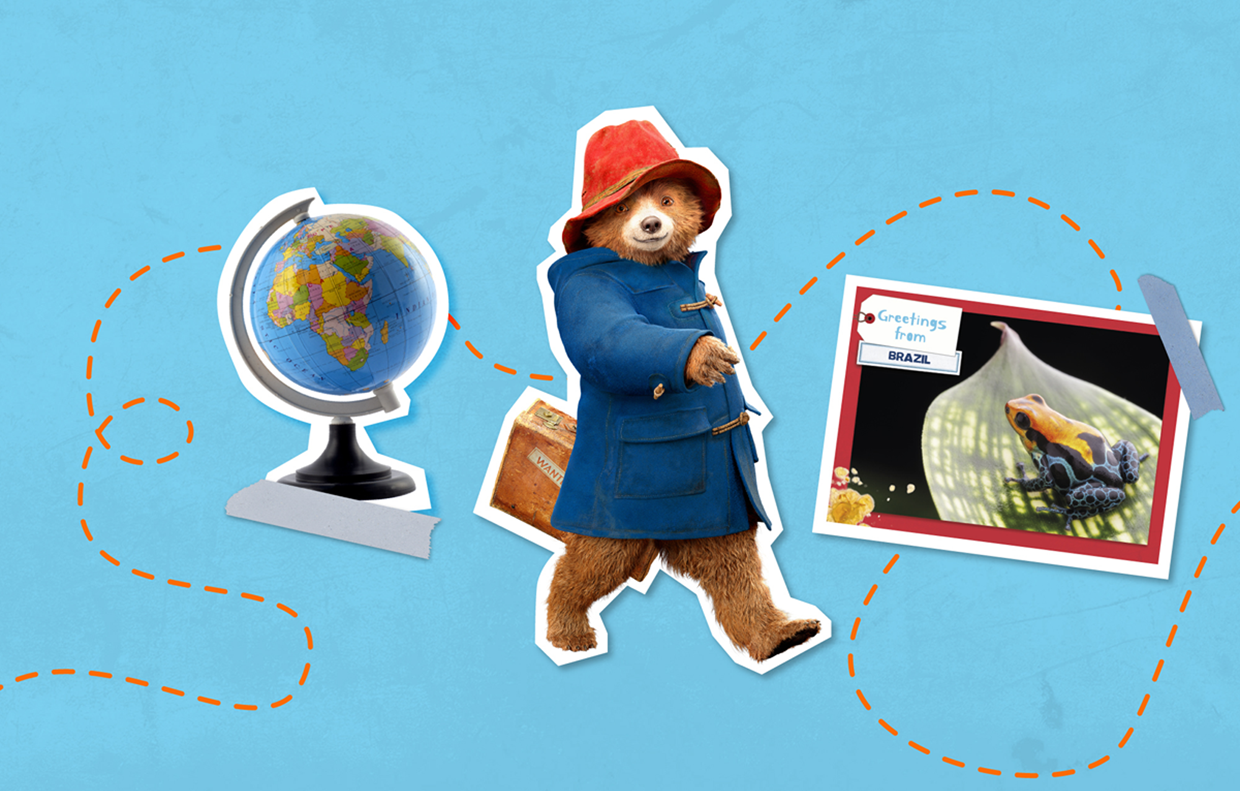 Paddington's Postcards for Children UNICEF UK