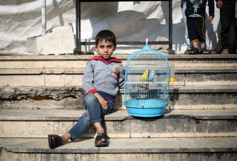 A six year old Palestinian boy sits on steps outside next to a blue bird cage with his pet bird.