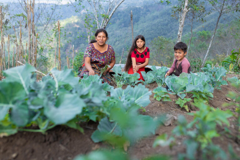 A mother, her daughter and her nephew, crouch down in a garden with luscious, leafy greens in the foreground.