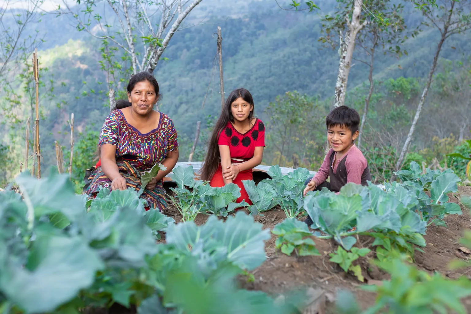 Juana Brito Corio, 38 years old, sits in her vegetable garden with her daughter, Cecilia Guzmán,14, and her nephew Diego Brito, 5, Quiché, Guatemala.